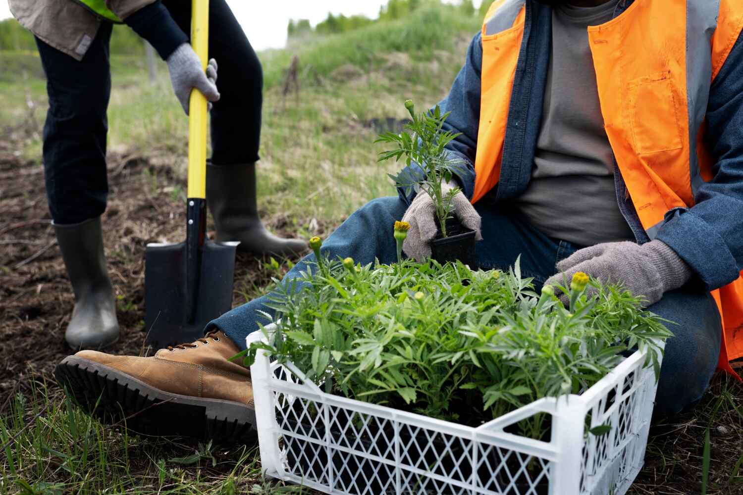 Best Emergency Tree Service  in Lake Wazeecha, WI